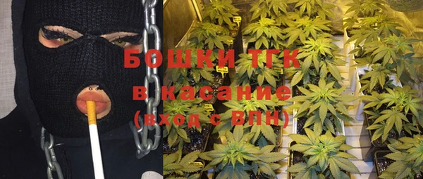 трава Туринск