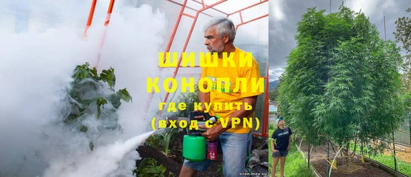 трава Туринск