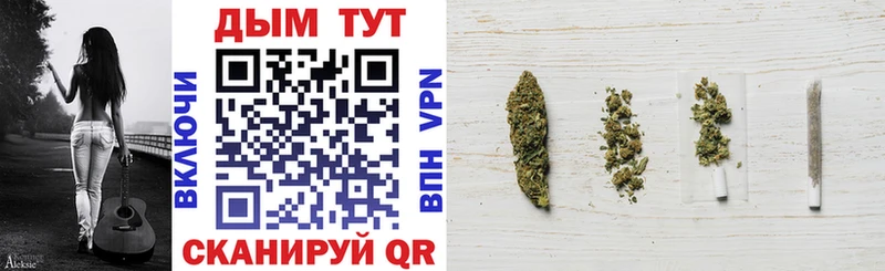 купить наркоту  Алдан  Каннабис план 